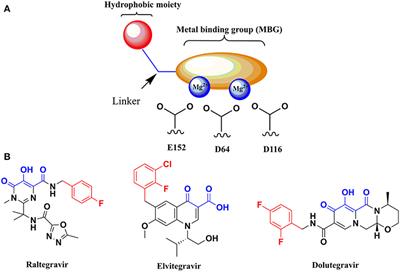 Identification of Novel 3-Hydroxy-pyran-4-One Derivatives as Potent HIV-1 Integrase Inhibitors Using in silico Structure-Based Combinatorial Library Design Approach